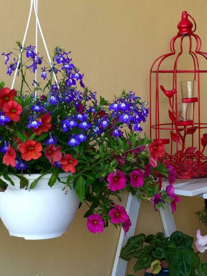 Вілла Casa De Ferias Josefa D'Обідуш Екстер'єр фото